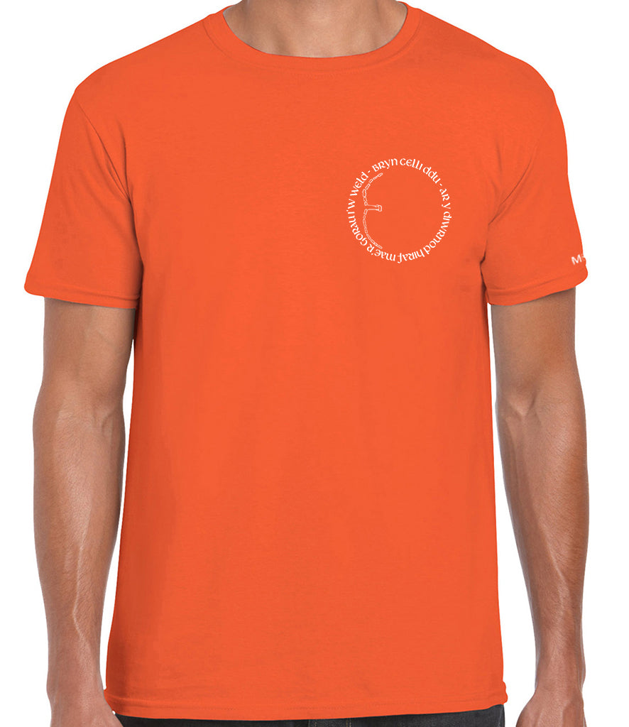Bryn Celli Ddu T-Shirt