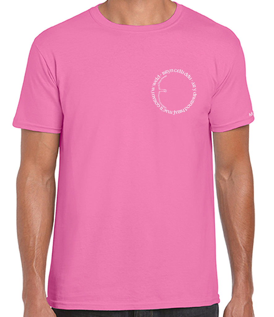 Bryn Celli Ddu T-Shirt