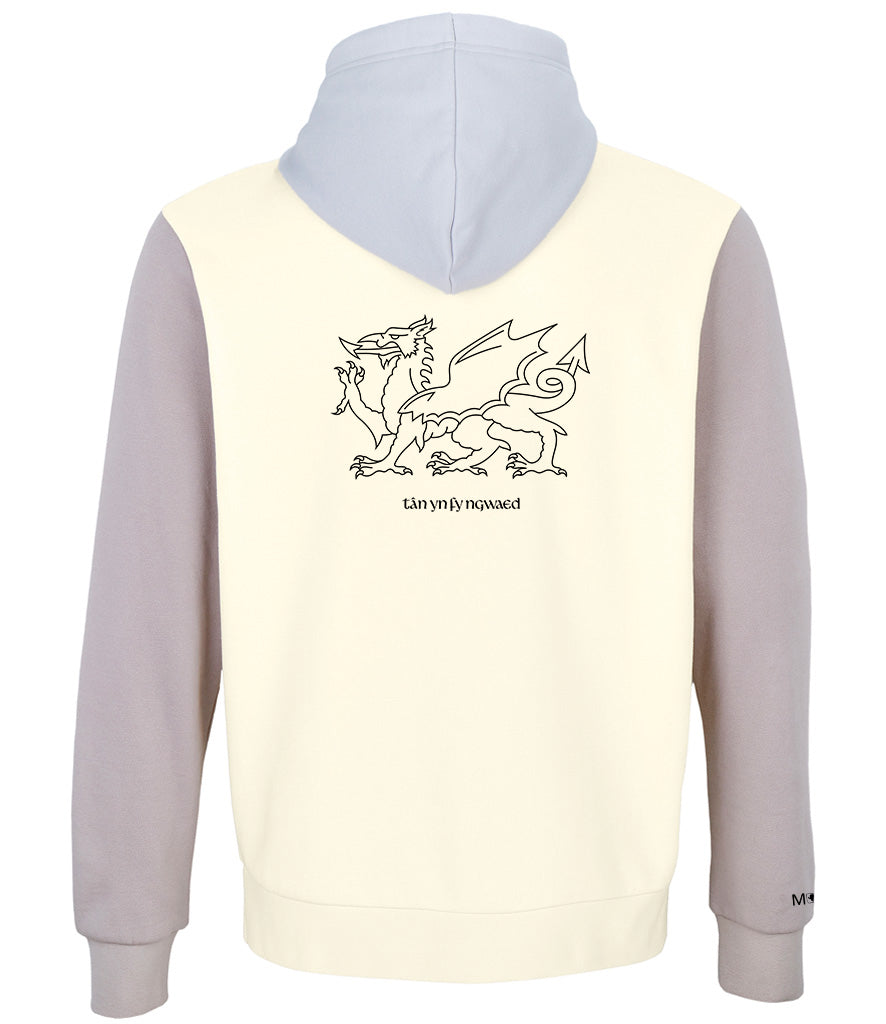 Welsh Dragon Hoodie - With fire in my blood - Welsh dragon design