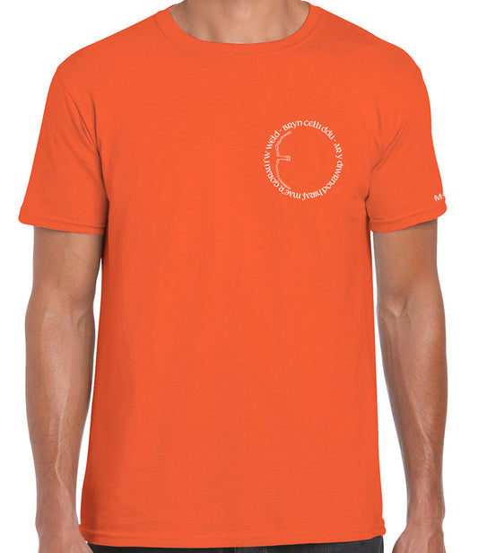 Bryn Celli Ddu T-Shirt